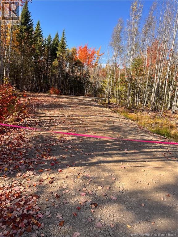 Lot Bells Mills Road, Richibouctou-Village, New Brunswick  E4W 1B8 - Photo 4 - NB128322