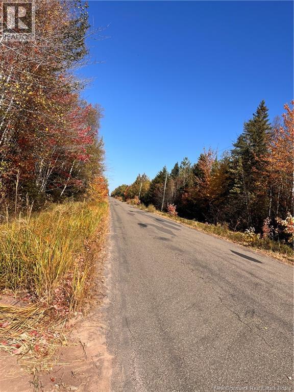 Lot Bells Mills Road, Richibouctou-Village, New Brunswick  E4W 1B8 - Photo 6 - NB128322