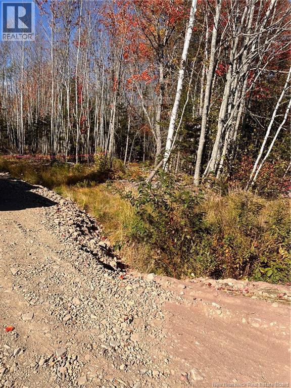 Lot Bells Mills Road, Richibouctou-Village, New Brunswick  E4W 1B8 - Photo 8 - NB128322