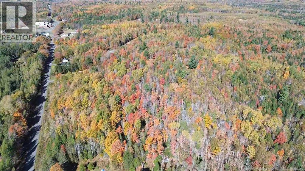 33 Dorrington Hill Road, Canterbury, New Brunswick  E6G 1Y9 - Photo 3 - NB128450