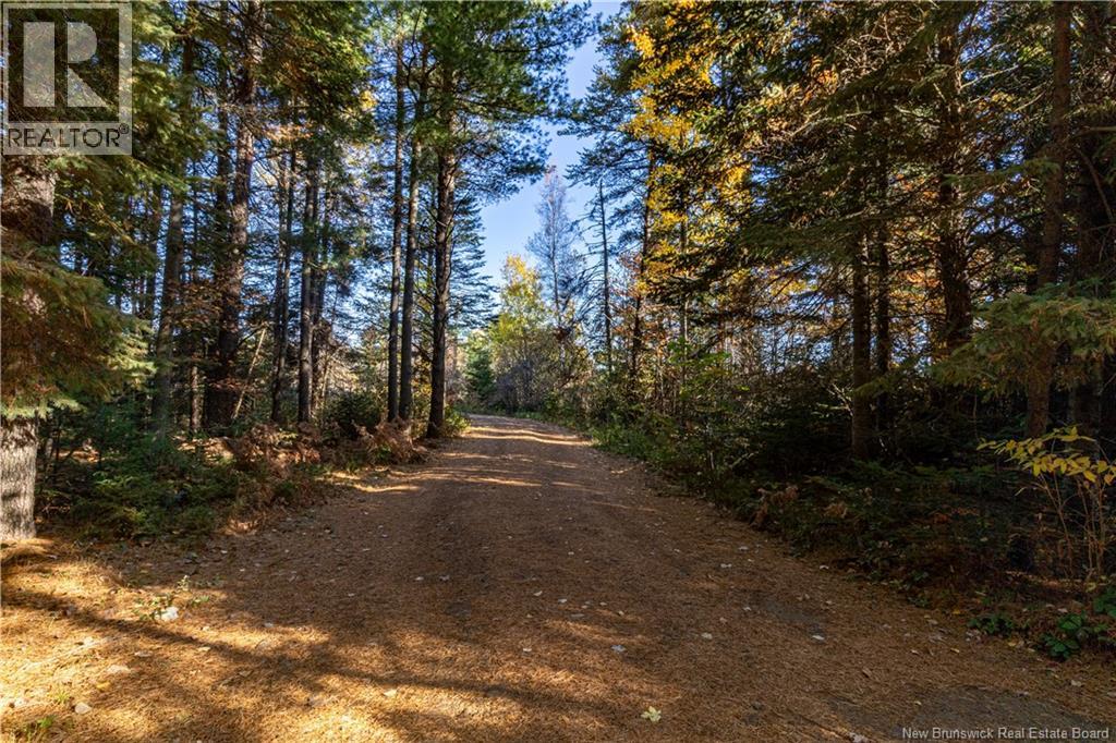 12601 Route 114, Penobsquis, New Brunswick E4G 2X6 - Photo 33 - NB128248