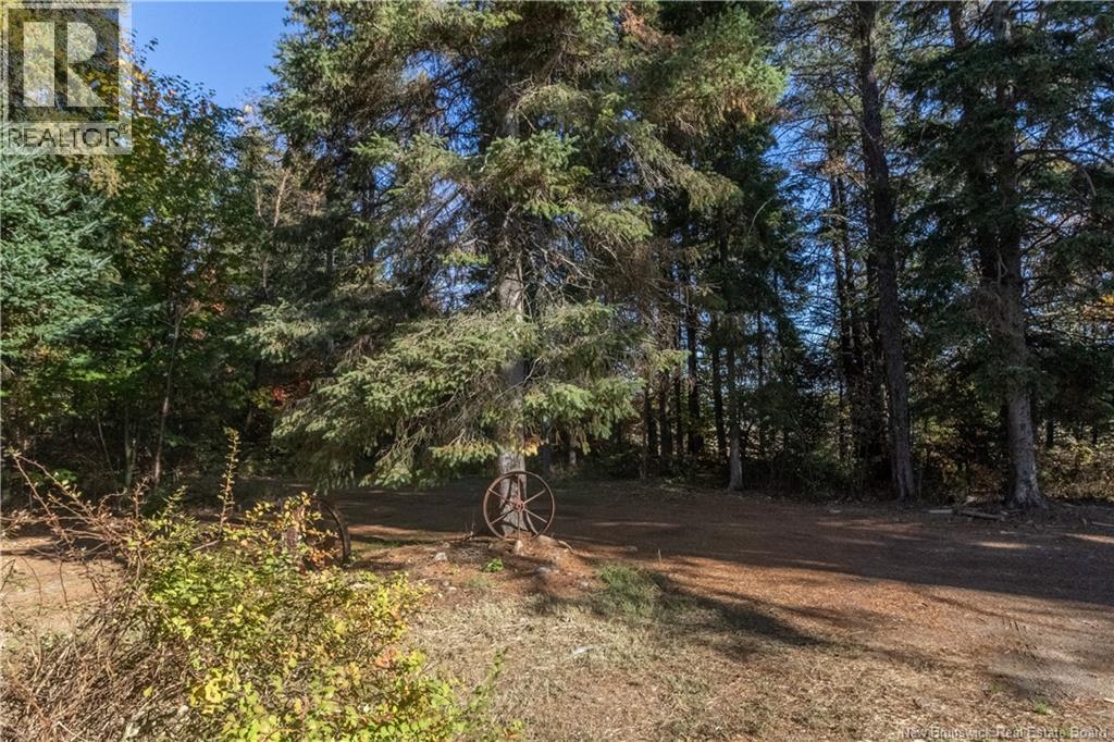 12601 Route 114, Penobsquis, New Brunswick E4G 2X6 - Photo 34 - NB128248