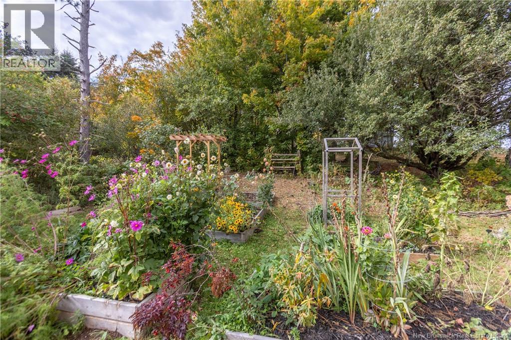 1 School Lane, Sackville, New Brunswick  E4L 3J8 - Photo 47 - NB128484