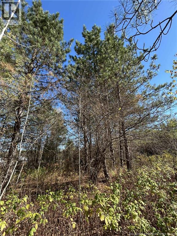 00 Taxis River Road, Taxis River, New Brunswick  E6A 1A7 - Photo 3 - NB128530