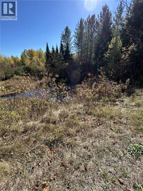 00 Taxis River Road, Taxis River, New Brunswick  E6A 1A7 - Photo 8 - NB128530