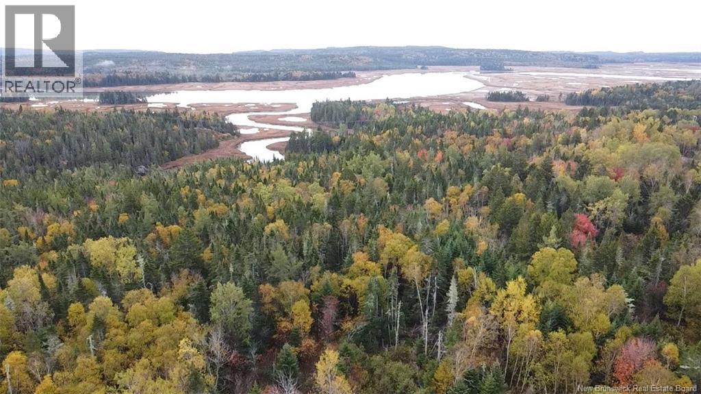 Lot Highway 1, Prince Of Wales, New Brunswick  E5J 2K2 - Photo 5 - NB128568