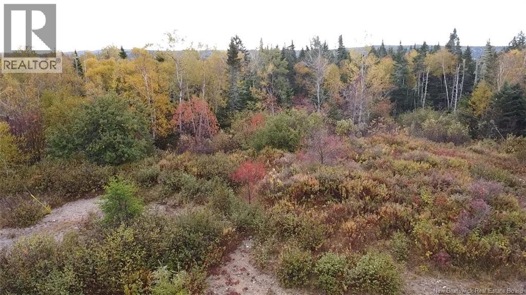 Lot Highway 1, Prince Of Wales, New Brunswick  E5J 2K2 - Photo 9 - NB128568