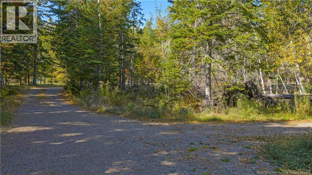 72 Harkness Road, Chamcook, New Brunswick  E5B 3E9 - Photo 17 - NB128533