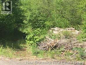 234 Flanagan Road, Fredericton, New Brunswick