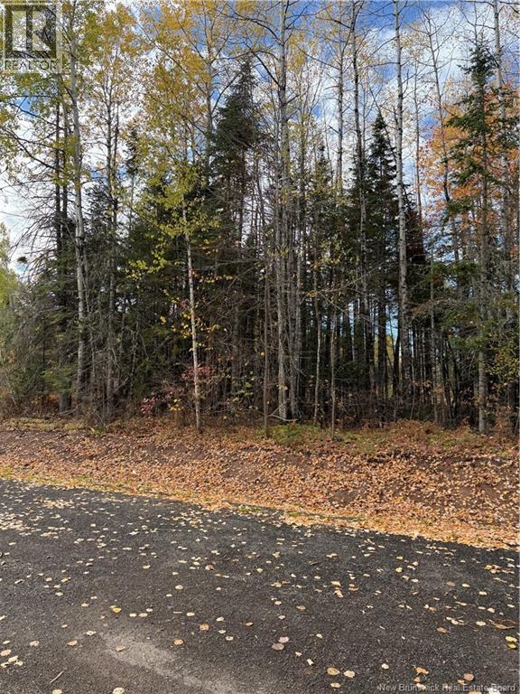 5 Karen Court, Salisbury, New Brunswick
