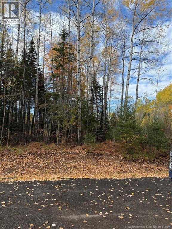 5 Karen Court, Salisbury, New Brunswick  E4J 2N3 - Photo 2 - NB128622