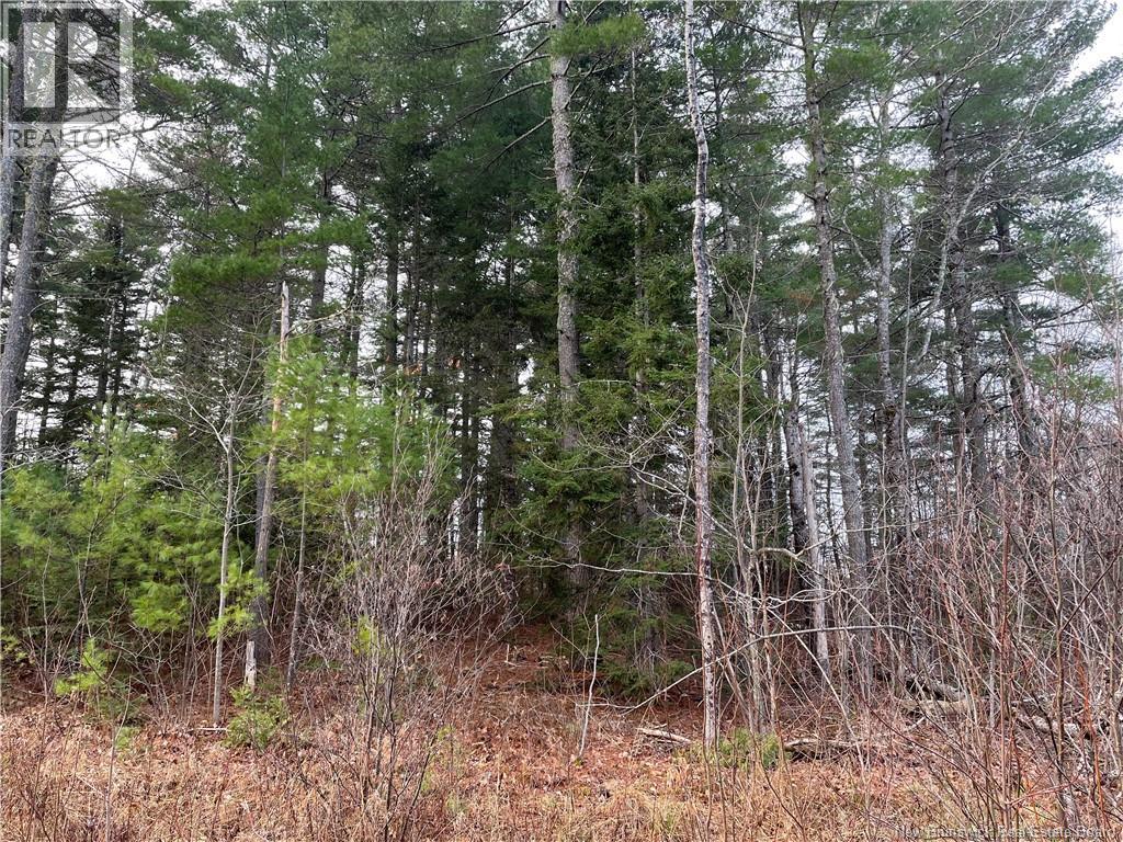 Lot 1 Route 105, Youngs Cove, New Brunswick  E4C 2C2 - Photo 4 - NB128641