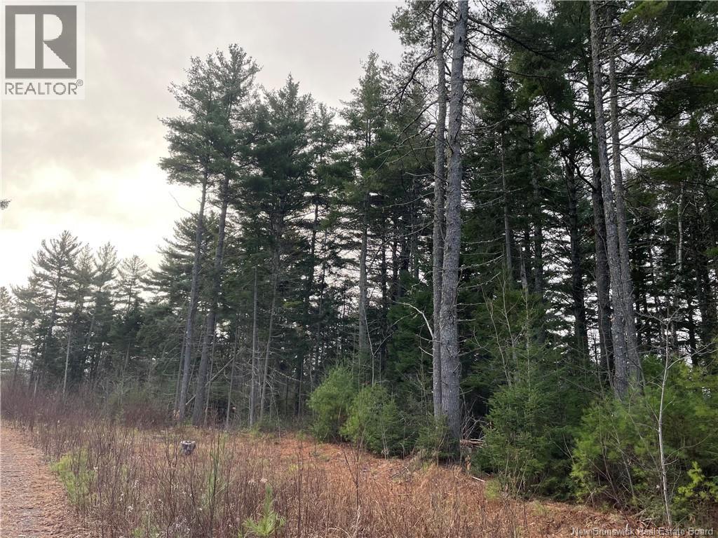 Lot 1 Route 105, Youngs Cove, New Brunswick  E4C 2C2 - Photo 5 - NB128641