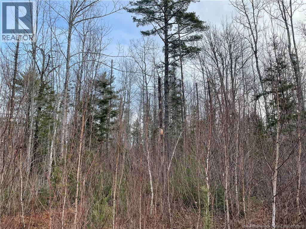 Lot 1 Route 105, Youngs Cove, New Brunswick  E4C 2C2 - Photo 6 - NB128641