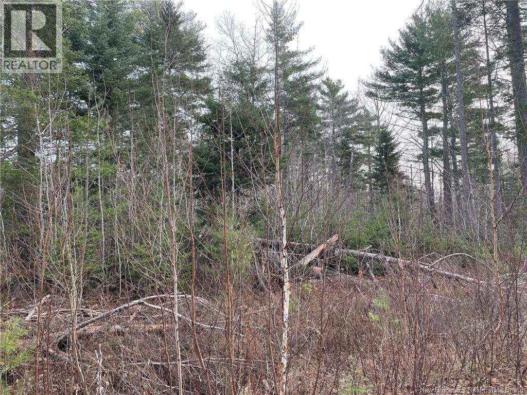 Lot 1 Route 105, Youngs Cove, New Brunswick  E4C 2C2 - Photo 7 - NB128641