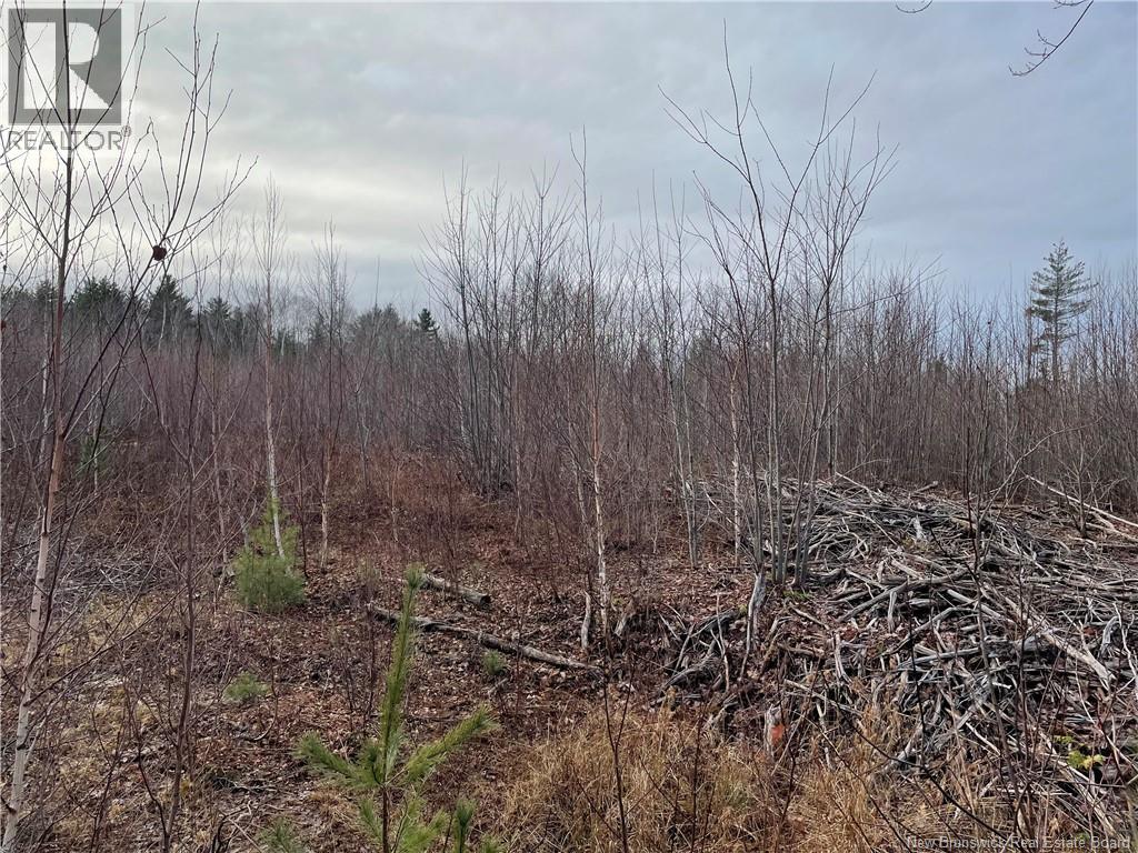 Lot 1 Route 105, Youngs Cove, New Brunswick  E4C 2C2 - Photo 8 - NB128641