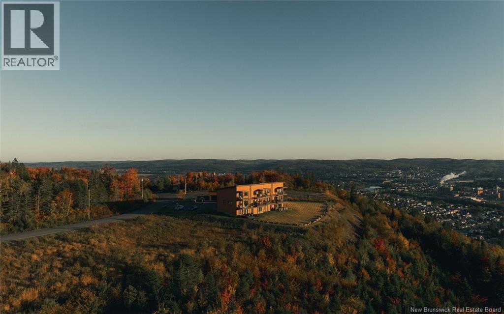 112 De La Falaise Street Unit# 201, Edmundston, New Brunswick E3V 0C4 - Photo 23 - NB128636