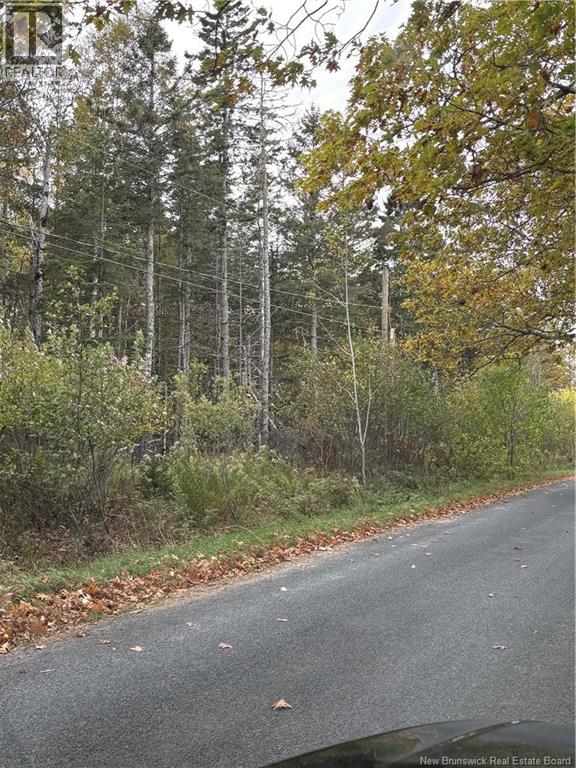 Lot Hannah Road, Dufferin, New Brunswick  E3L 3S4 - Photo 1 - NB128617