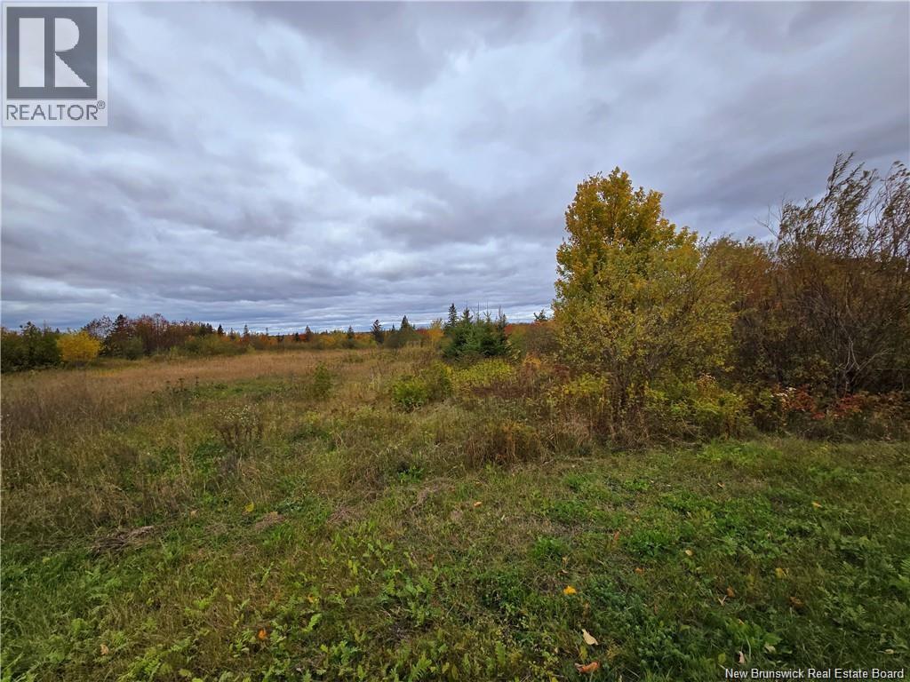 8782sm Blvd Des Acadiens, Bertrand, New Brunswick  E1W 1L9 - Photo 2 - NB128506