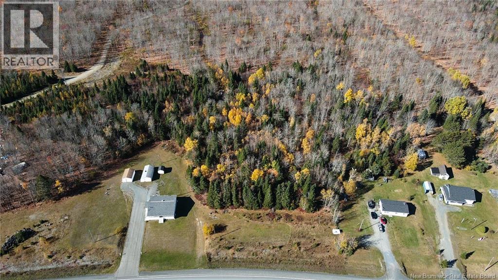 9054 17 Route, Whites Brook, New Brunswick E8B 1Z6 - Photo 23 - NB128432