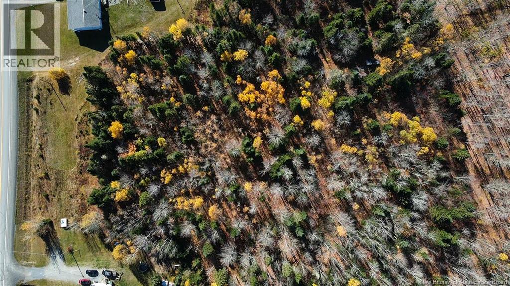 9054 17 Route, Whites Brook, New Brunswick E8B 1Z6 - Photo 25 - NB128432