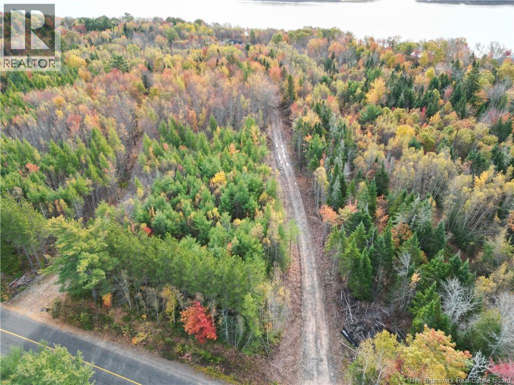 1675 Lakeview Road, Cambridge-Narrows, New Brunswick  E4C 1M5 - Photo 5 - NB128628