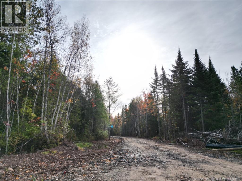 1675 Lakeview Road, Cambridge-Narrows, New Brunswick  E4C 1M5 - Photo 7 - NB128628