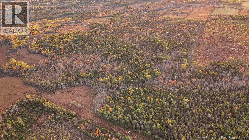 2464 Route 635, Harvey, New Brunswick  E6K 1H1 - Photo 13 - NB128738