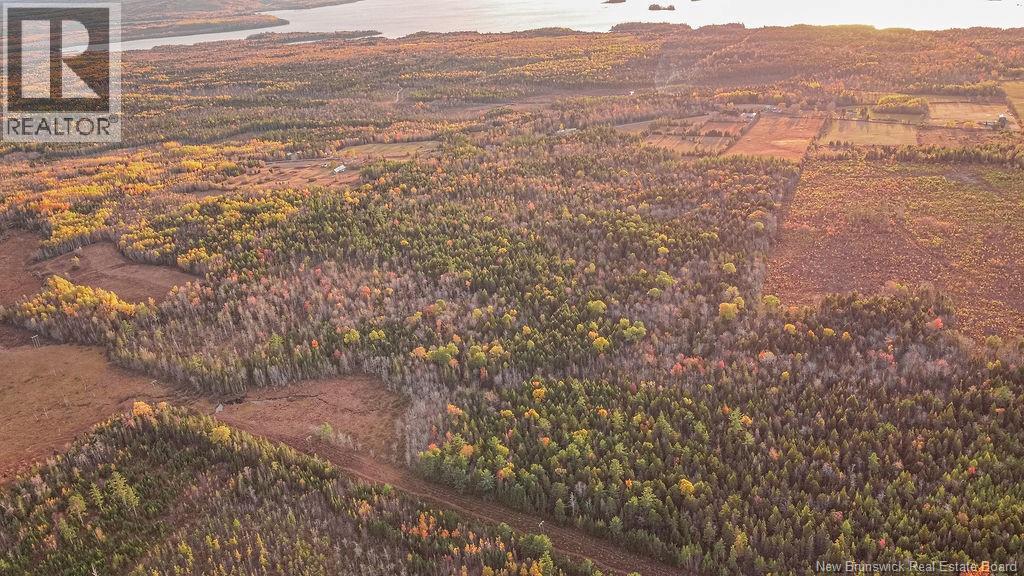 2464 Route 635, Harvey, New Brunswick  E6K 1H1 - Photo 14 - NB128738