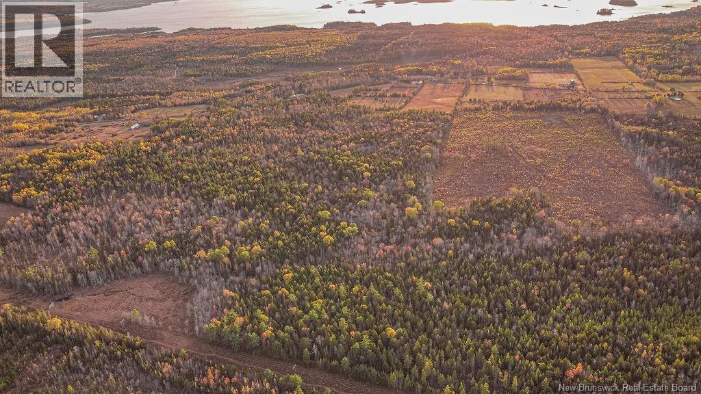 2464 Route 635, Harvey, New Brunswick  E6K 1H1 - Photo 15 - NB128738