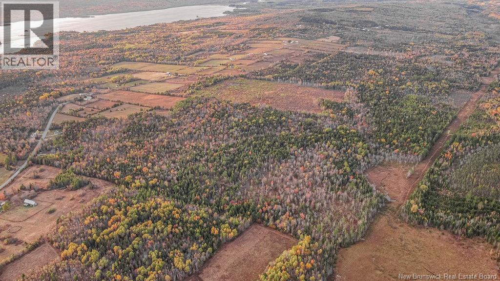 2464 Route 635, Harvey, New Brunswick  E6K 1H1 - Photo 20 - NB128738