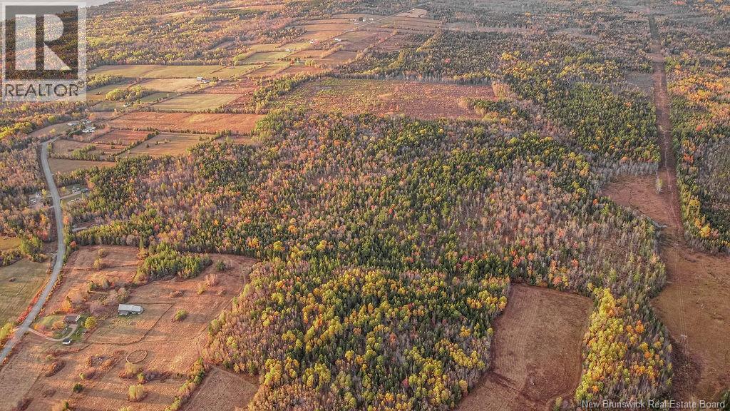 2464 Route 635, Harvey, New Brunswick  E6K 1H1 - Photo 22 - NB128738