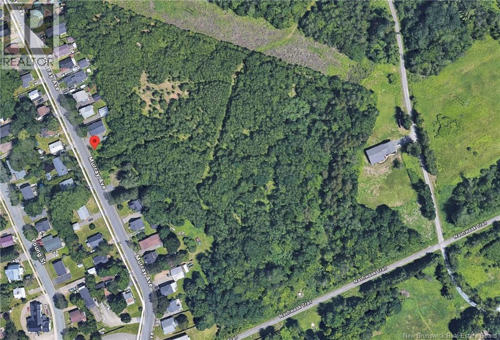 26 & 28 Murray Avenue, Fredericton, New Brunswick  E3A 3Y5 - Photo 1 - NB128715