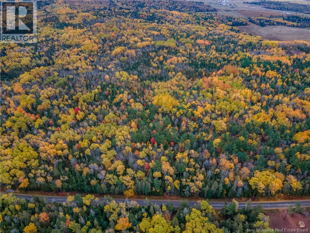 Lot Plumweseep Road, Plumweseep, New Brunswick  E4G 1Y2 - Photo 10 - NB128606