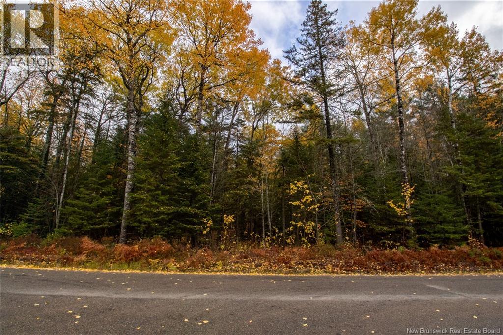 Lot Plumweseep Road, Plumweseep, New Brunswick  E4G 1Y2 - Photo 12 - NB128606