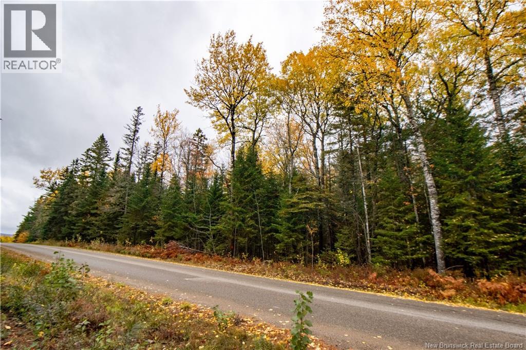 Lot Plumweseep Road, Plumweseep, New Brunswick  E4G 1Y2 - Photo 13 - NB128606