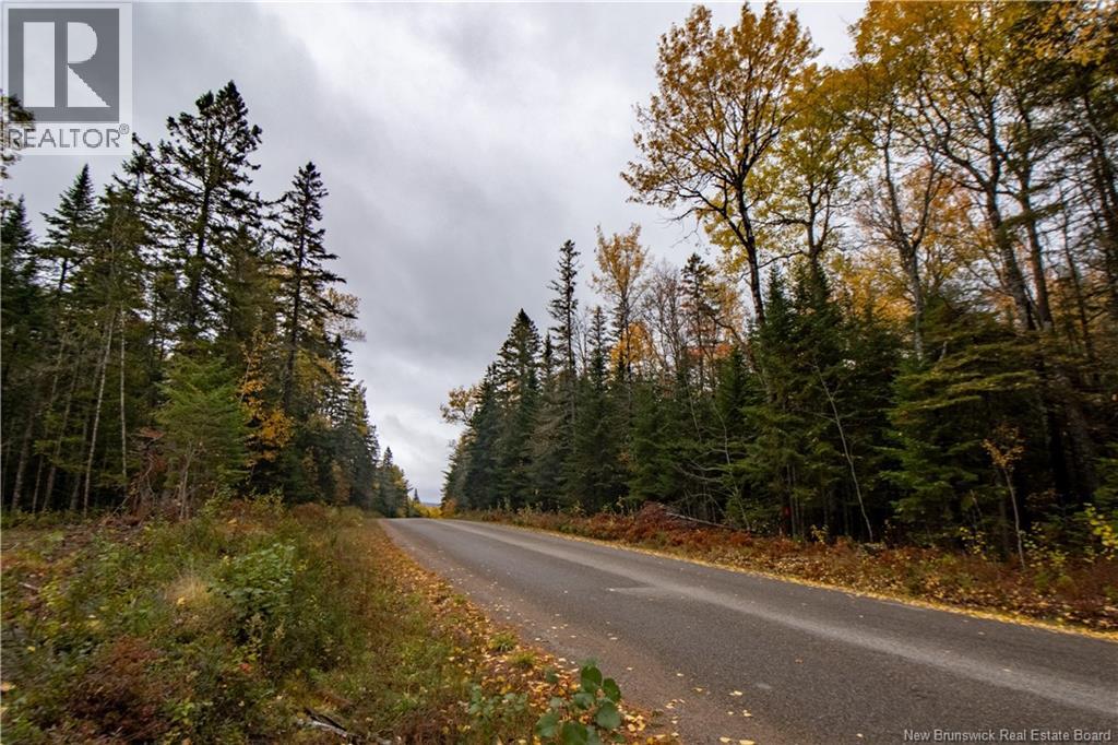 Lot Plumweseep Road, Plumweseep, New Brunswick  E4G 1Y2 - Photo 14 - NB128606