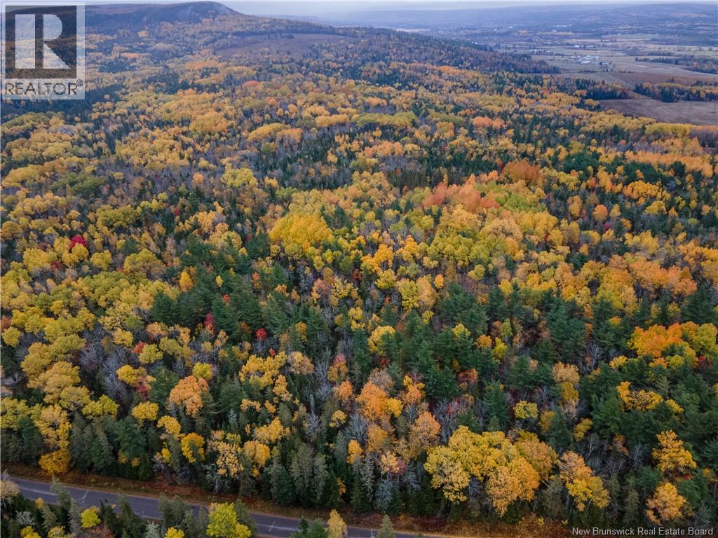 Lot Plumweseep Road, Plumweseep, New Brunswick  E4G 1Y2 - Photo 4 - NB128606
