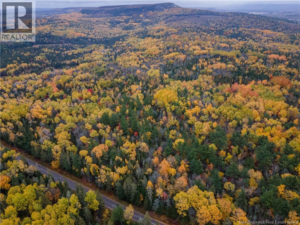 Lot Plumweseep Road, Plumweseep, New Brunswick  E4G 1Y2 - Photo 5 - NB128606