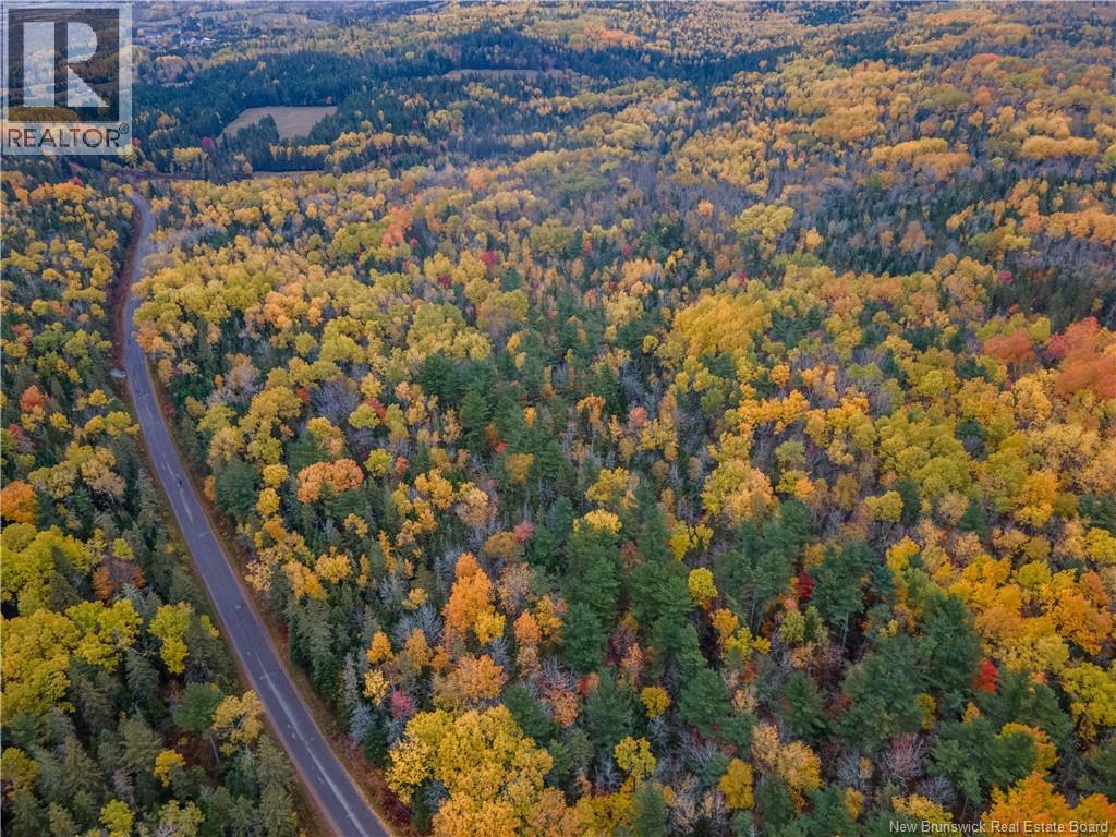 Lot Plumweseep Road, Plumweseep, New Brunswick  E4G 1Y2 - Photo 6 - NB128606