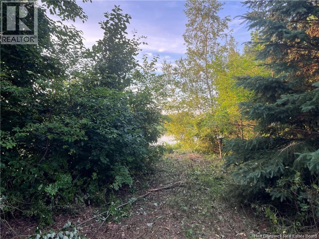 Lot 16-18 Aleesha Court, Bass River, New Brunswick  E4T 3Z1 - Photo 7 - NB128755