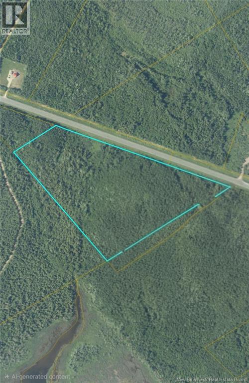 21.7 acre Route 113, Inkerman, New Brunswick