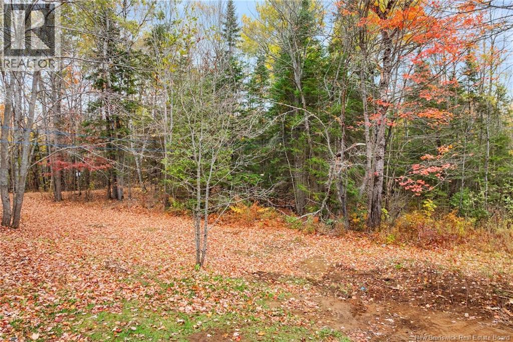 51 Dufferin Road, Chipman, New Brunswick  E4A 3X3 - Photo 30 - NB128730