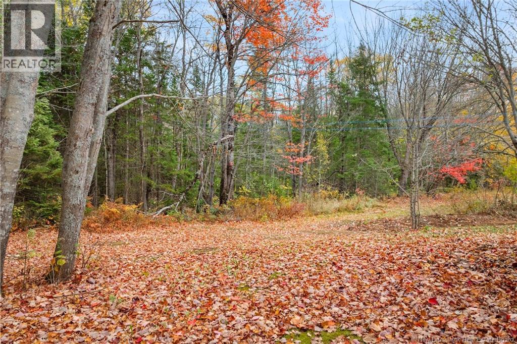51 Dufferin Road, Chipman, New Brunswick  E4A 3X3 - Photo 33 - NB128730