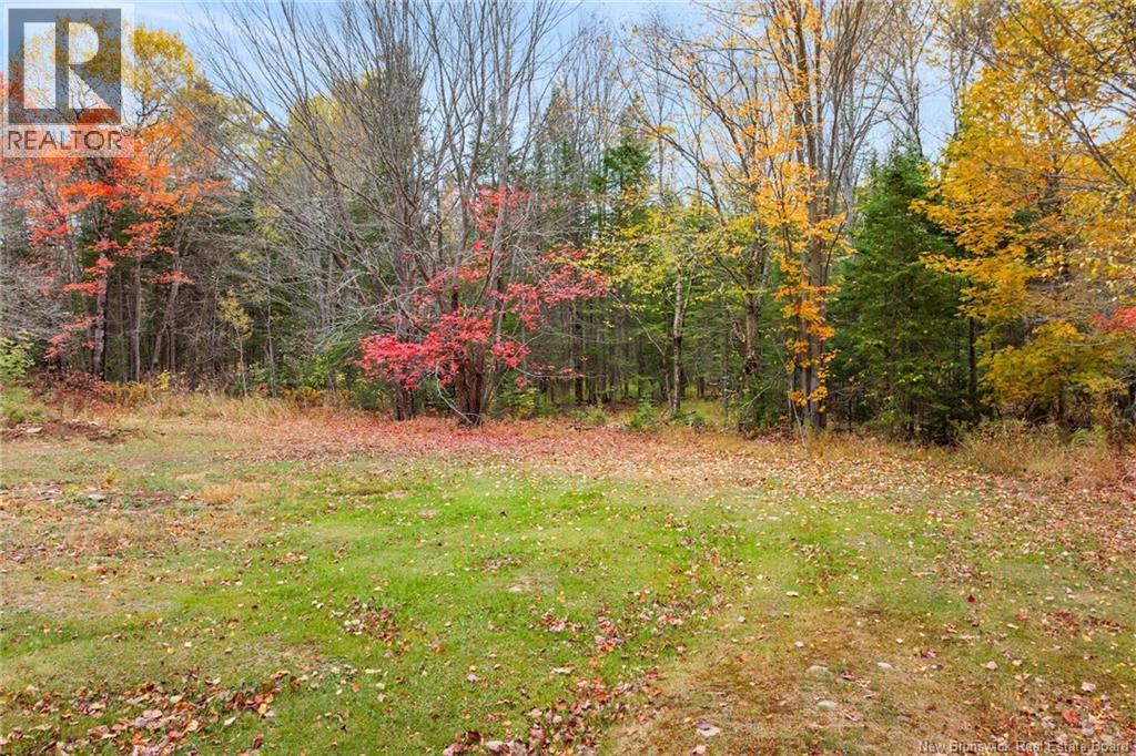 51 Dufferin Road, Chipman, New Brunswick  E4A 3X3 - Photo 36 - NB128730