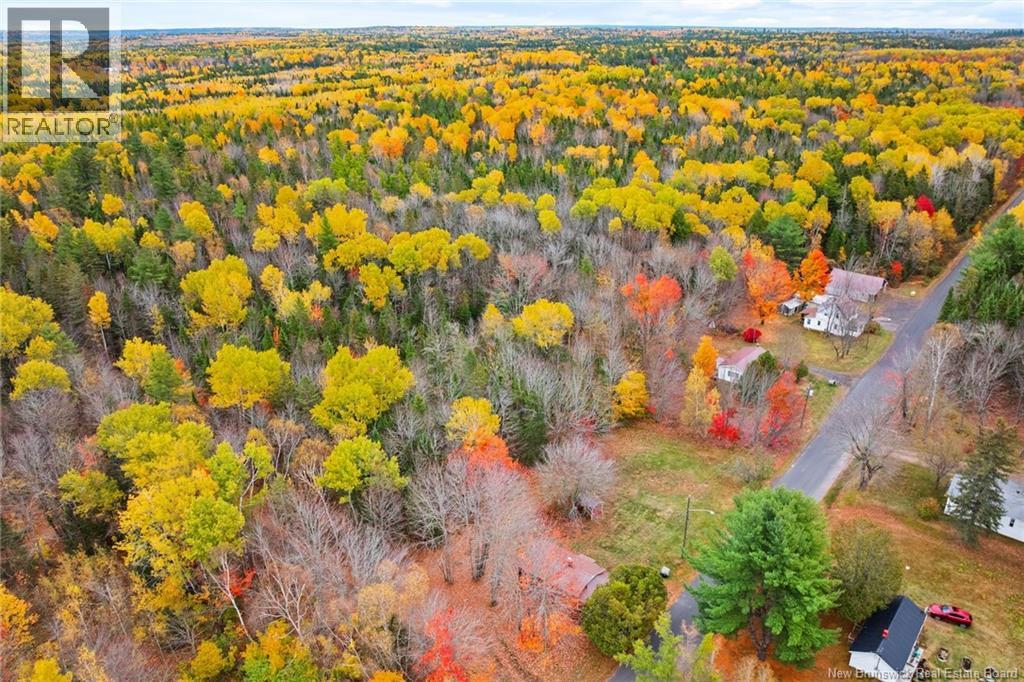 51 Dufferin Road, Chipman, New Brunswick  E4A 3X3 - Photo 42 - NB128730