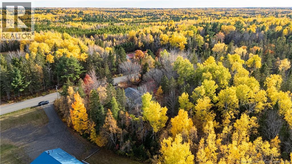 2880 Route 510, Targettville, New Brunswick  E4T 1V9 - Photo 38 - NB128844