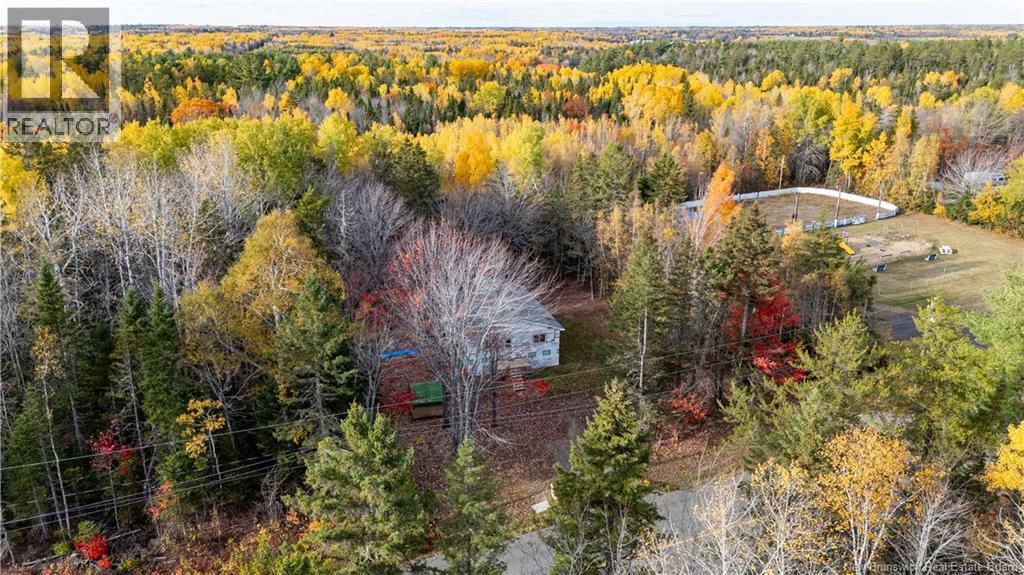 2880 Route 510, Targettville, New Brunswick  E4T 1V9 - Photo 4 - NB128844