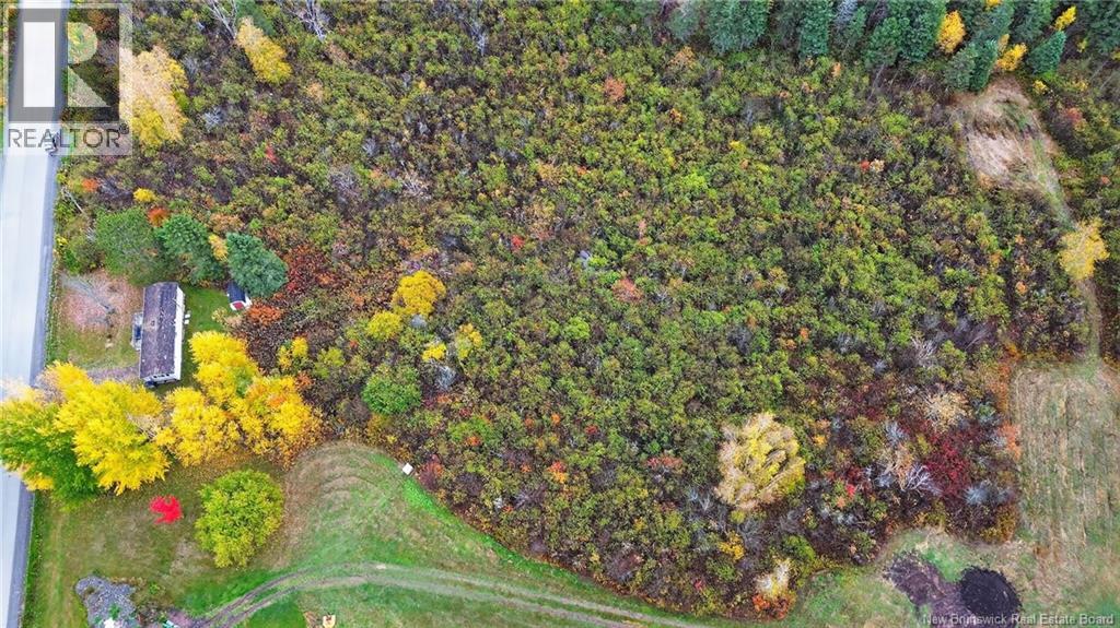 410 Scott Road, River Glade, New Brunswick  E4Z 3P9 - Photo 13 - NB128893