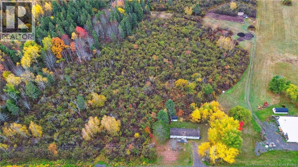 410 Scott Road, River Glade, New Brunswick  E4Z 3P9 - Photo 9 - NB128893
